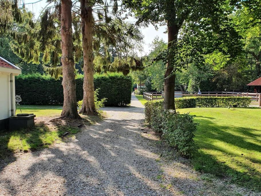 Midden In De Friese Bossen Op Landgoed Princenhof Ораньевуд Экстерьер фото