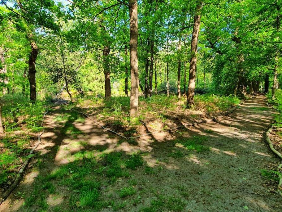 Midden In De Friese Bossen Op Landgoed Princenhof Ораньевуд Экстерьер фото