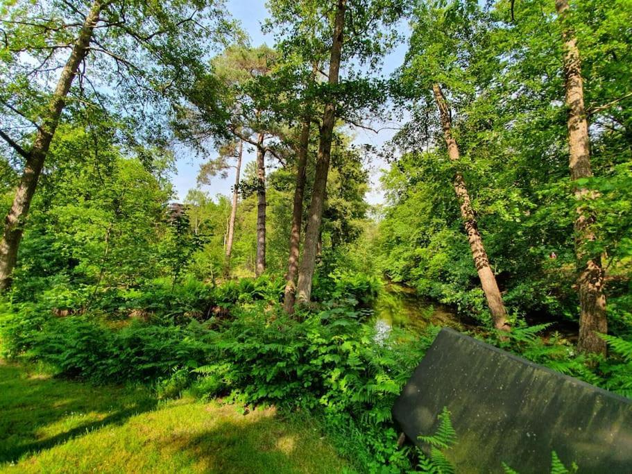 Midden In De Friese Bossen Op Landgoed Princenhof Ораньевуд Экстерьер фото