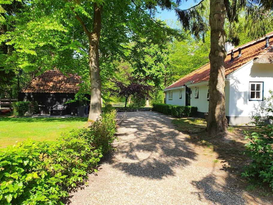 Midden In De Friese Bossen Op Landgoed Princenhof Ораньевуд Экстерьер фото
