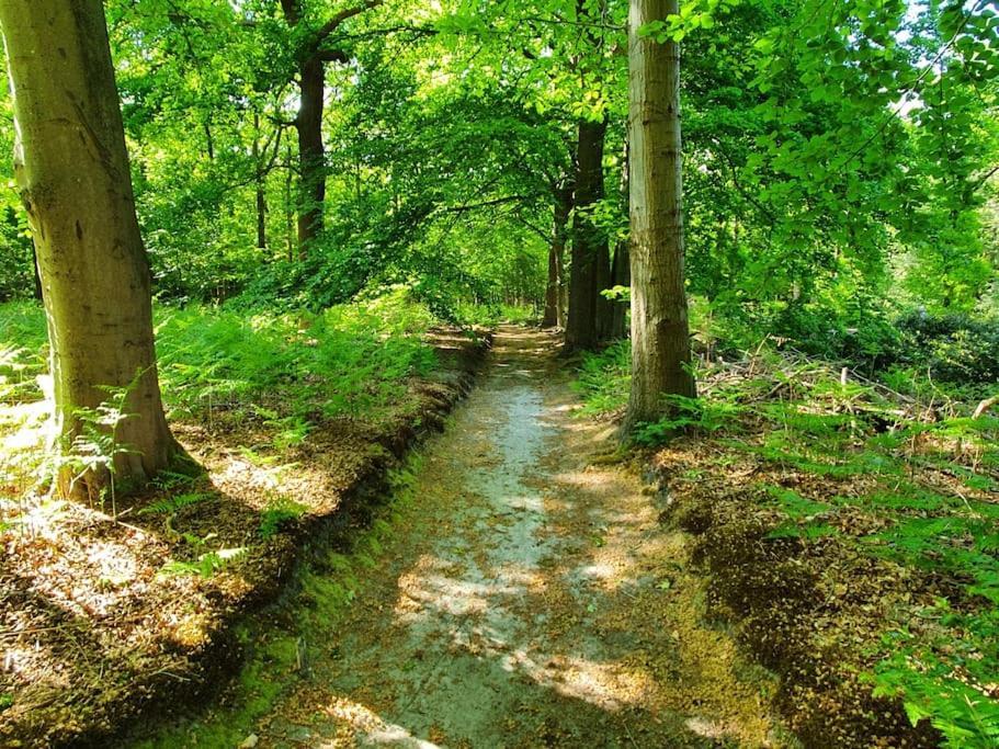 Midden In De Friese Bossen Op Landgoed Princenhof Ораньевуд Экстерьер фото